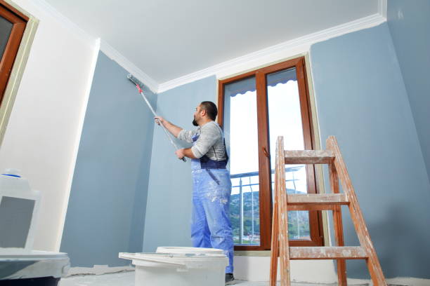 Best Basement Mold Removal  in Juneau, AK