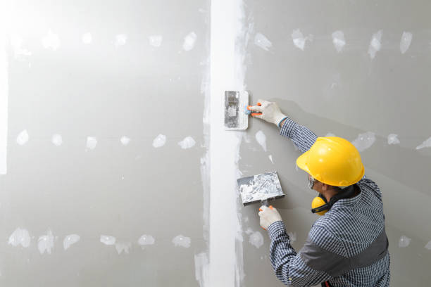 Best Mold Removal for HVAC Installations  in Juneau, AK