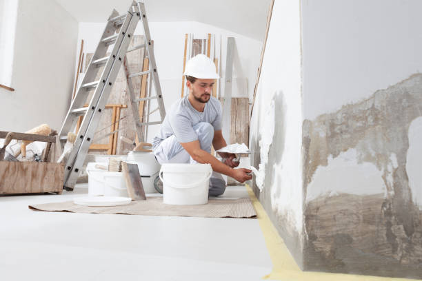 Best Environmental Consulting for Mold Prevention  in Juneau, AK