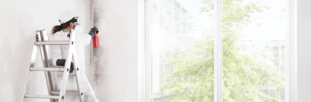 Dehumidification Services in Juneau, AK