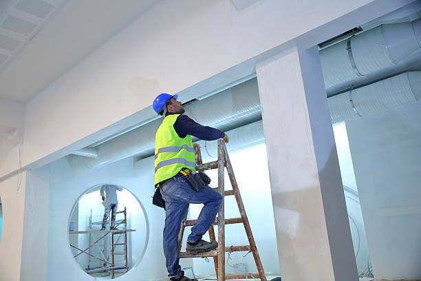 Best Mold Odor Removal Services  in Juneau, AK